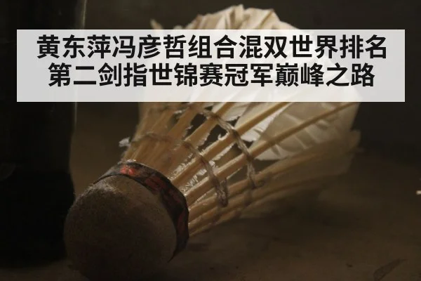 黄东萍冯彦哲组合混双世界排名第二剑指世锦赛冠军巅峰之路