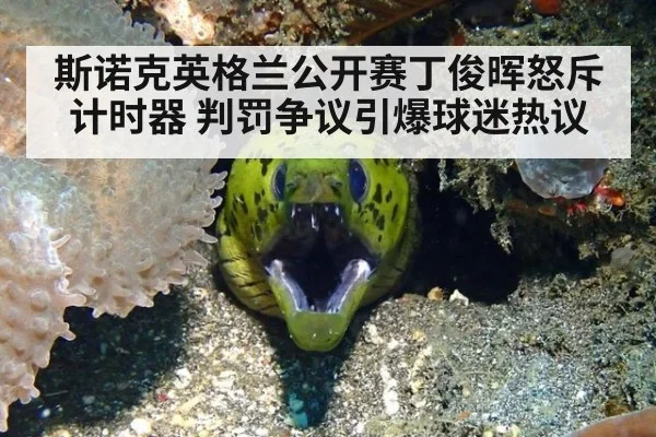 斯诺克英格兰公开赛丁俊晖怒斥计时器 判罚争议引爆球迷热议
